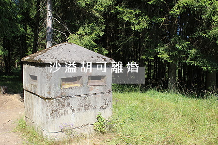 沙溢胡可離婚