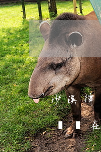 沙溪律師事務(wù)所在哪里(沙市律師咨詢處在哪里)