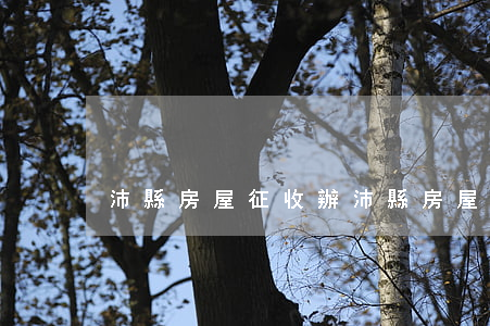 沛縣房屋征收辦(沛縣房屋征收辦公室電話)