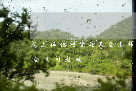 没上征信网贷逾期会怎样(有网贷没逾期征信会有问题吗)