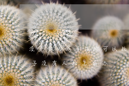没产权的房子法院可以拍卖吗(法院拍卖的房子没有人拍怎么办)