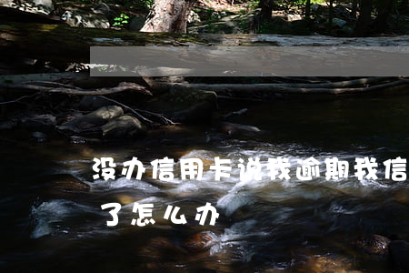 没办信用卡说我逾期(我信用卡逾期无法使用了怎么办)