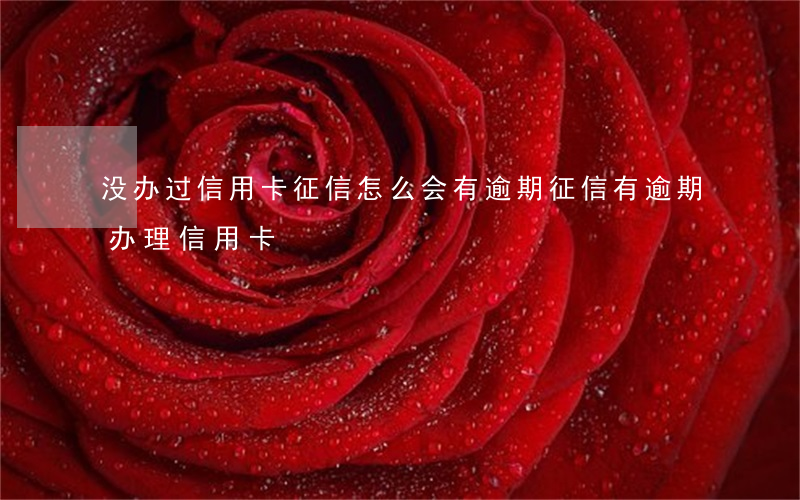 没办过信用卡征信怎么会有逾期(征信有逾期办理信用卡)