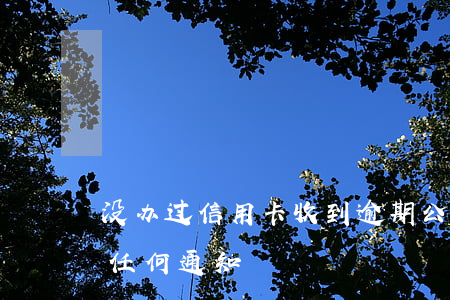 没办过信用卡收到逾期公告(办信用卡没收到任何通知)
