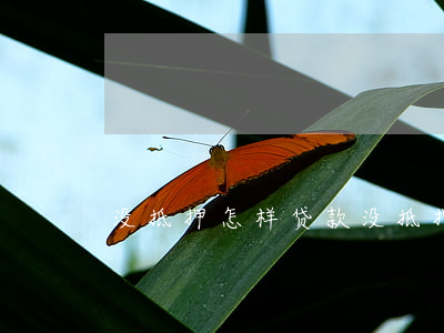没抵押怎样贷款(没抵押怎样贷款)