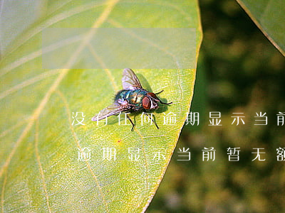 没有任何逾期显示当前暂无额度-没有任何逾期显示当前暂无额度怎么回事