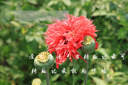 没有借条只有转账记录可以起诉吗(借钱只有转账记录能起诉吗)