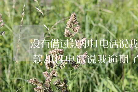 没有借过款却打电话说我逾期了-没有借过款却打电话说我逾期了怎么办