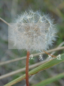 没有写遗嘱财产怎么分(不写遗嘱财产怎么分)