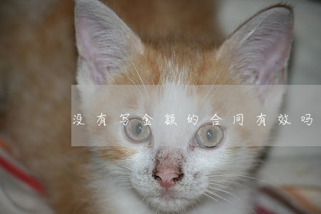 没有写金额的合同有效吗