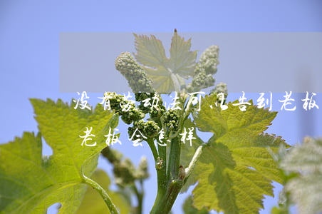 没有劳动法可以告到老板吗(劳动法不给工资老板会怎样)