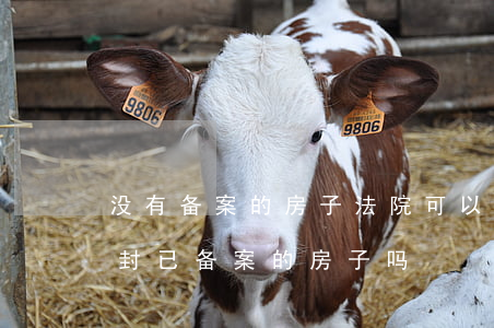 没有备案的房子法院可以查封吗(法院有权查封已备案的房子吗)