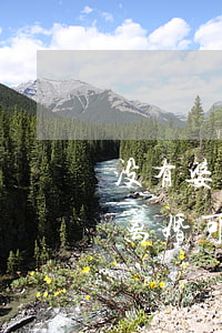 没有婆婆离婚可以争取孩子抚养权(没有婆婆离婚可以争取孩子抚养权)
