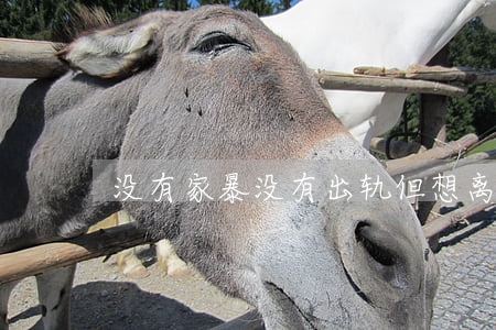 没有家暴没有出轨但想离婚怎么办