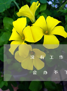 没有工作还不起贷款(没工作贷款怎么办 会不会办不下来)