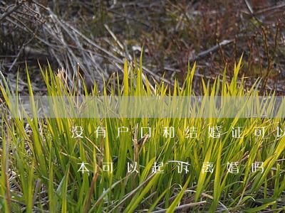 没有户口和结婚证可以诉讼离婚吗(没有户口本可以起诉离婚吗)