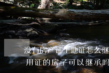 没有房产证土地证怎么继承(农村没有土地使用证的房子可以继承吗)