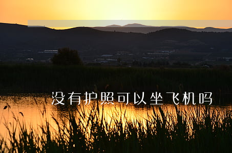 没有护照可以坐飞机吗