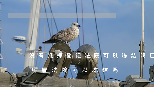 没有抵押登记法院可以冻结吗(已设定抵押的房屋法院可以冻结吗?)