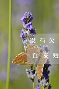 没有欠招联金融为什么会有信息(招联金融一直发短信说我欠款怎么回事)