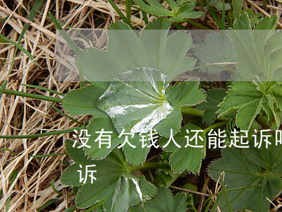 没有欠钱人还能起诉吗-没有欠款被别人起诉