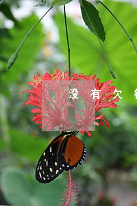 没有欠钱录音起诉吗