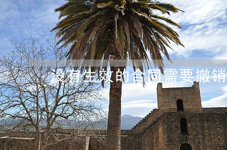 没有生效的合同需要撤销吗