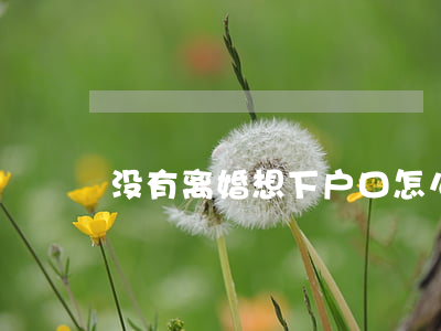 没有离婚想下户口怎么办