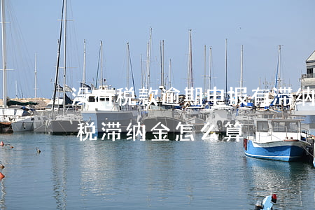 没有税款逾期申报有滞纳金吗（公司逾期不报税滞纳金怎么算）