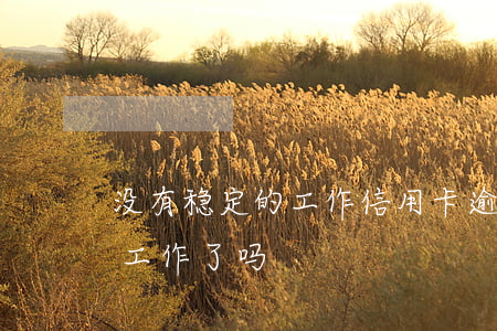 没有稳定的工作信用卡逾期(欠信用卡就不能工作了吗)