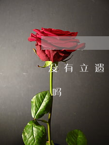 没有立遗嘱财产如何分(立遗嘱了还能分遗产吗)