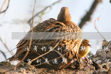 没有约定利息逾期利息该如何计算-没有约定利息逾期利息该如何计算呢