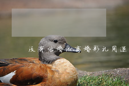 没有结婚证离婚彩礼用退还么