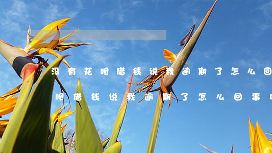 没有花呗借钱说我逾期了怎么回事-没有花呗借钱说我逾期了怎么回事啊