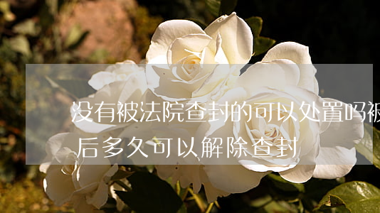 没有被法院查封的可以处置吗(被法院查封以后多久可以解除查封)