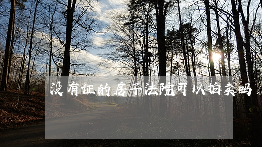 没有证的房子法院可以拍卖吗