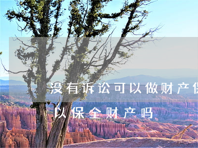 没有诉讼可以做财产保全吗(法院没有立案可以保全财产吗)