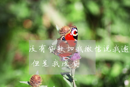 没有贷款加我微信说我逾期-说我贷款逾期但是我没贷