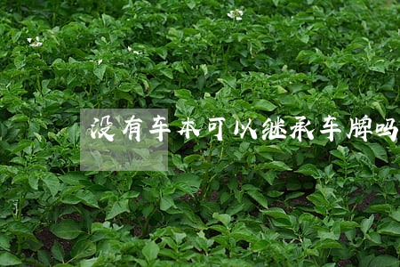 没有车本可以继承车牌吗