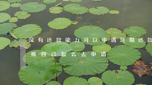 没有还款能力可以申请延期还款吗-停息挂账自己怎么去申请