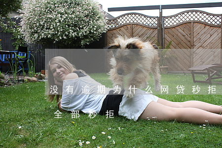 没有逾期为什么网贷秒拒(从未逾期但是网贷全部秒拒)