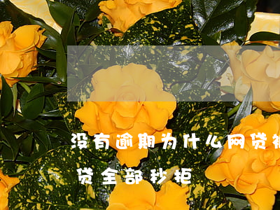 没有逾期为什么网贷被秒拒(从未逾期但是网贷全部秒拒)