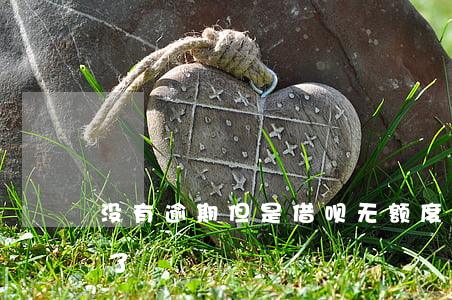 没有逾期但是借呗无额度(借呗没违约额度没了)