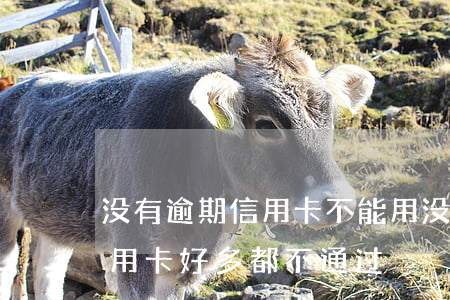 没有逾期信用卡不能用(没有逾期过,为什么信用卡好多都不通过?)