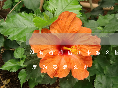 没有逾期信用卡怎么被降额(逾期了信用卡额度为零怎么办)