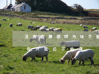 没有逾期借呗为啥不能借了(借呗没逾期过现在只能还不能借)