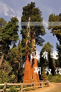 没有逾期借呗怎么没有了(支付宝借呗没有逾期为什么突然没有额度了)