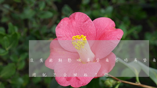 没有逾期影响房贷面签吗(房贷面签后签了合同就不会被拒了吗)