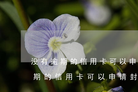 没有逾期的信用卡可以申请封卡吗-没有逾期的信用卡可以申请封卡吗安全吗