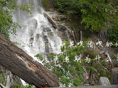 没有逾期花呗借呗都停了为什么-花呗借呗都没有逾期,为什么花呗突然停了